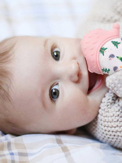 Mordedor de silicona alimentaria, erizo | SEVIRA KIDS - Kiabi