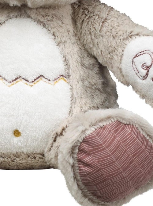 Osito de terciopelo - SAUTHON - Kiabi