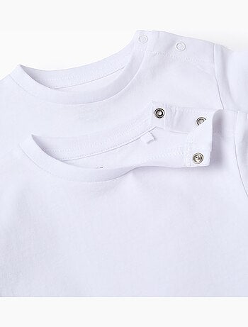 Pack 2 camisetas lisas en algodón