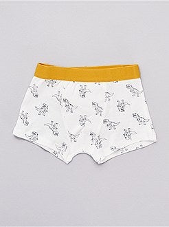 Pack de 2 boxers 'dinosaurios' - Kiabi