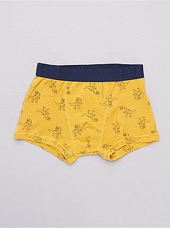 Pack de 2 boxers 'dinosaurios' - Kiabi