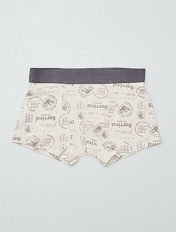Pack de 2 boxers 'Jurassic World'