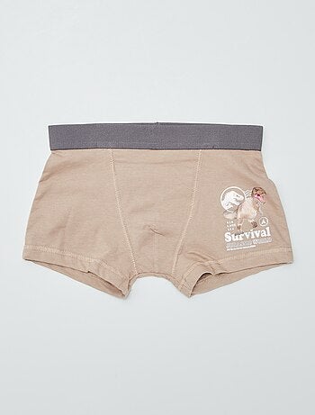 Pack de 2 boxers 'Jurassic World'