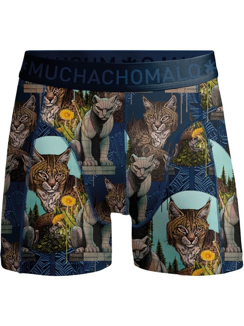 Pack de 2 bóxers Muchachomalo - Kiabi