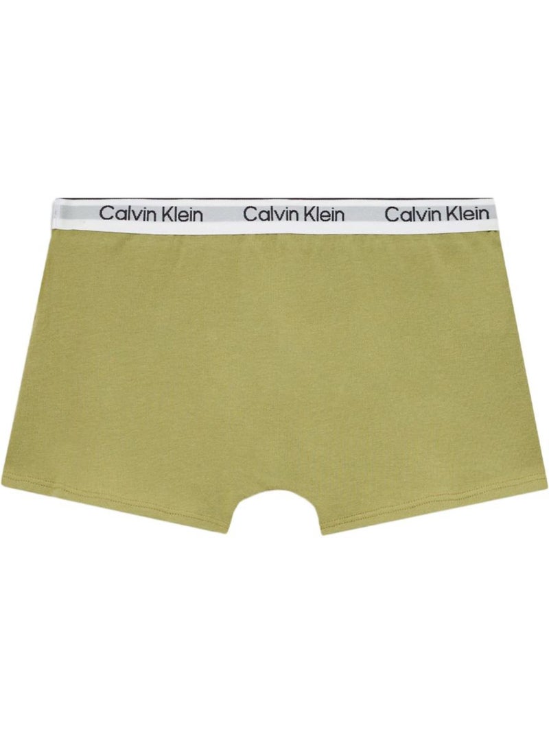 Pack de 2 Bóxers para Niño Calvin Klein Jeans Verde - Kiabi