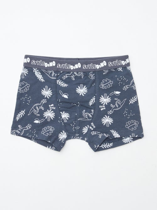 Pack de 2 boxers 'Petit Béguin' - Kiabi