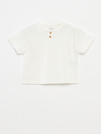 Pack de 2 camisetas lisas de manga corta