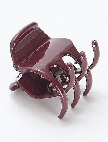 Pack de 2 pequeñas pinzas para el cabello