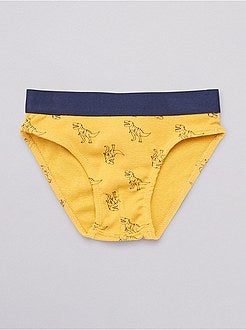 Pack de 2 slips estampados 'dinosaurios' - Kiabi