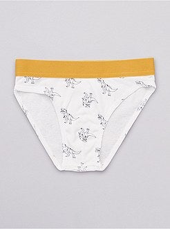 Pack de 2 slips estampados 'dinosaurios' - Kiabi