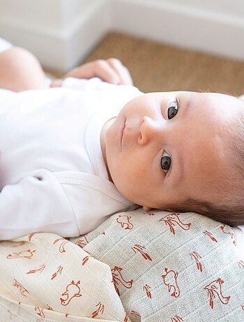 Pack de 3 arrullos 70x70