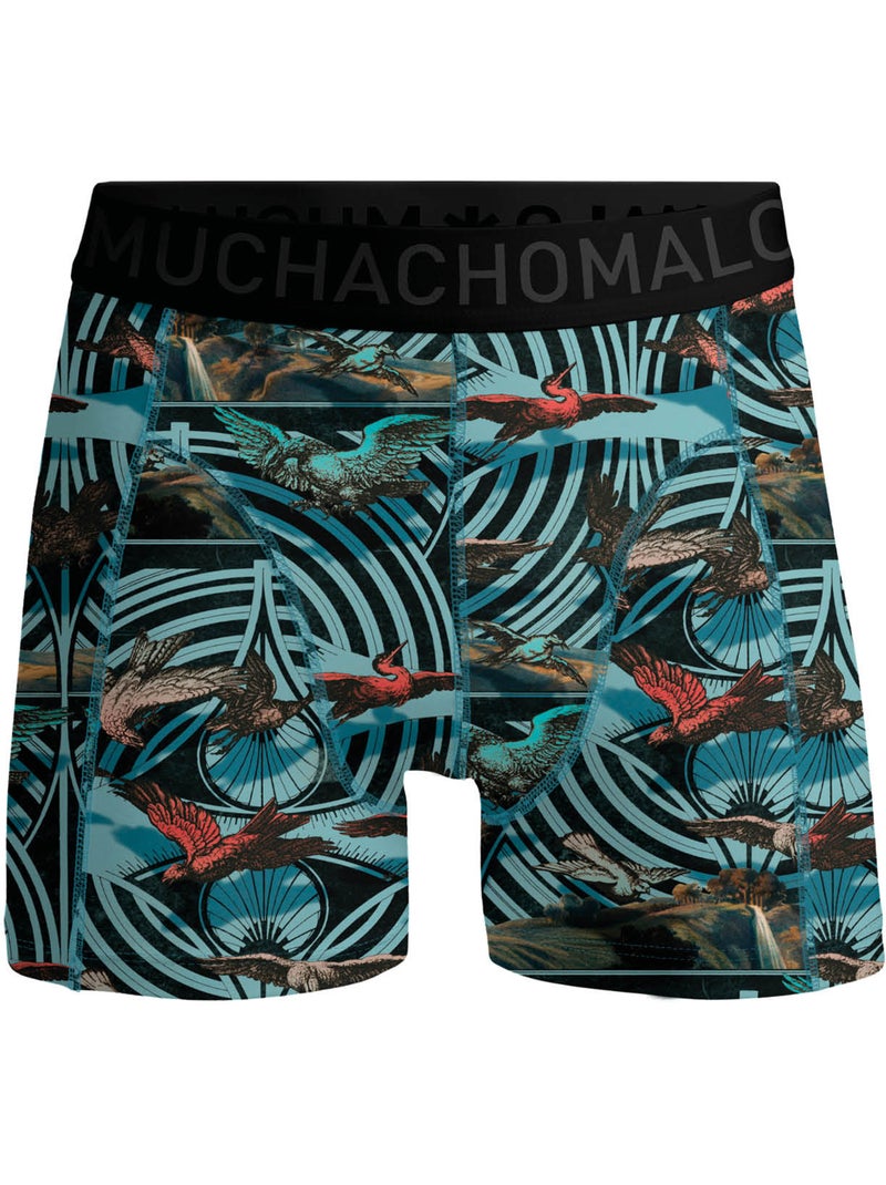 Pack de 3 bóxers Muchachomalo Azul Verde - Kiabi