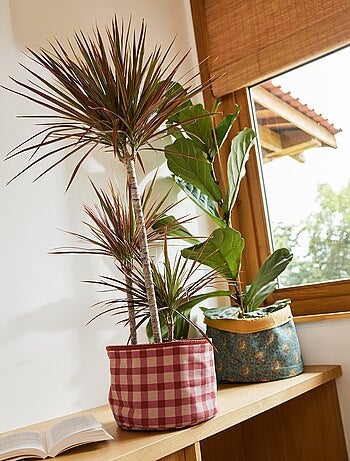 Pack de 3 cestas para la colada - Kiabi Home