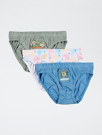 pack de 3 slips 'Patrulla Canina' de algodón
