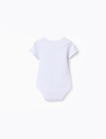 Pack de 4 bodies lisos de manga corta