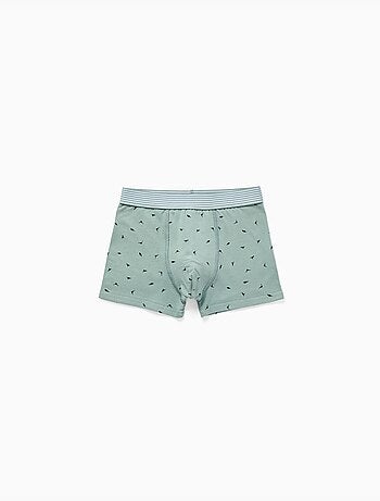 Pack de 4 bóxers de algodón con estampado de dinosaurios