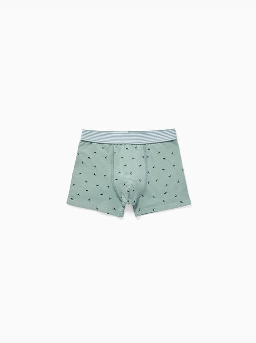 Pack de 4 bóxers de algodón con estampado de dinosaurios - Kiabi Pack de 4 bóxers de algodón con estampado de dinosaurios - Kiabi