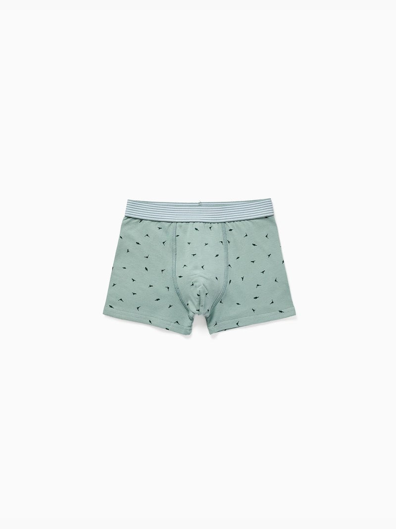 Pack de 4 bóxers de algodón con estampado de dinosaurios Gris azul - Kiabi