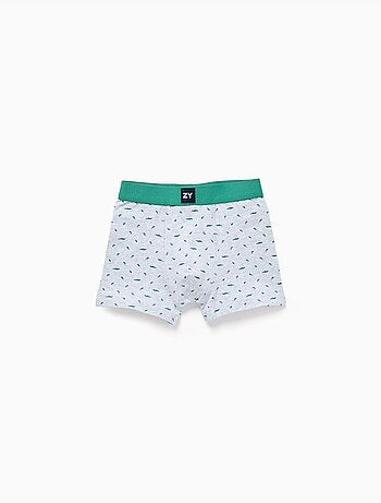 Pack de 4 bóxers lisos/estampados