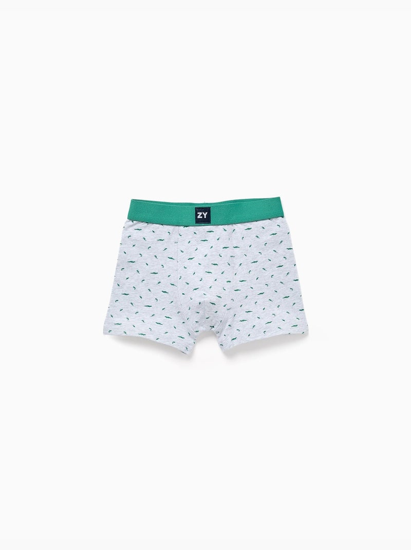 Pack de 4 bóxers lisos/estampados Gris verde - Kiabi