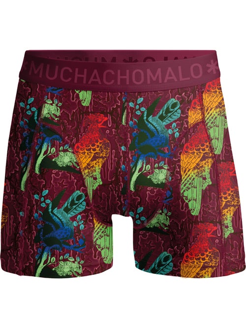 Pack de 4 bóxers Muchachomalo - Kiabi