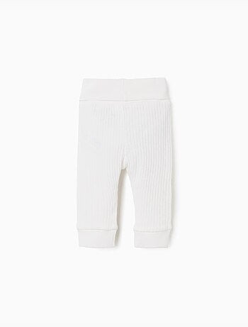 Pack de 4 pantalones lisos/acanalados de algodón