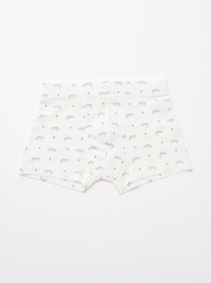 Pack de 5 bóxers estampados Azul - Kiabi