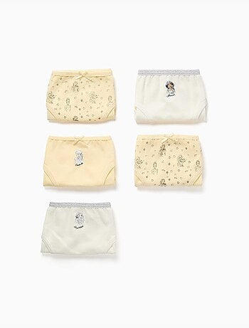 Pack de 5 braguitas con estampados de las princesas disney