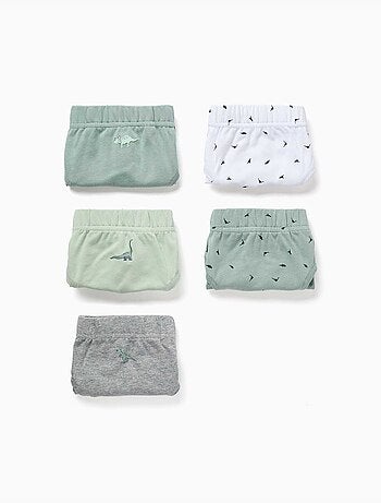 Pack de 5 calzoncillos de algodón con estampados de dinosaurios
