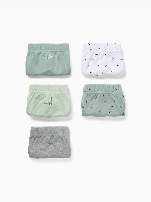 Pack de 5 calzoncillos de algodón con estampados de dinosaurios - Kiabi Pack de 5 calzoncillos de algodón con estampados de dinosaurios - Kiabi