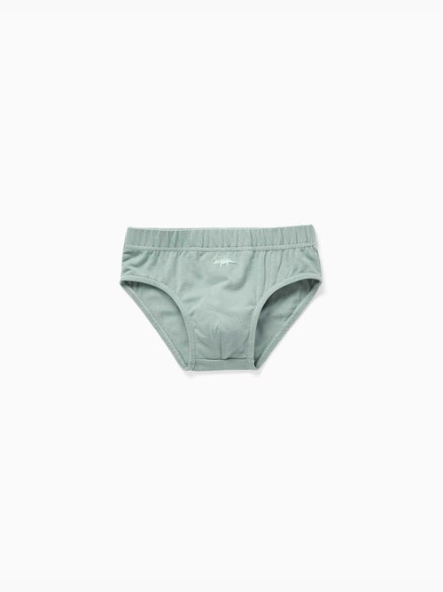 Pack de 5 calzoncillos de algodón con estampados de dinosaurios - Kiabi Pack de 5 calzoncillos de algodón con estampados de dinosaurios - Kiabi