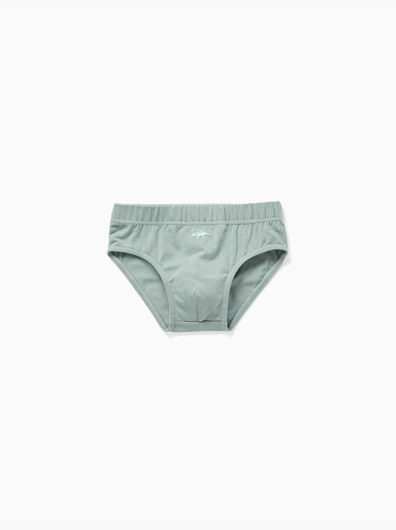 Pack de 5 calzoncillos de algodón con estampados de dinosaurios Blanco Verde - Kiabi