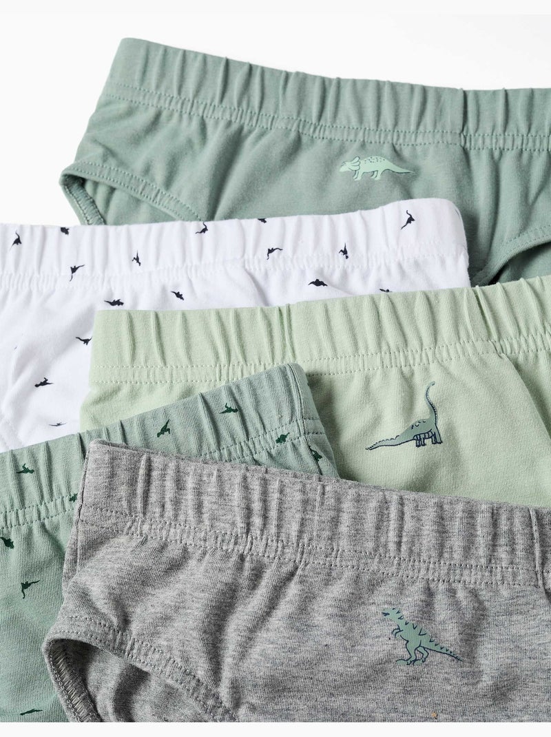 Pack de 5 calzoncillos de algodón con estampados de dinosaurios Blanco Verde - Kiabi