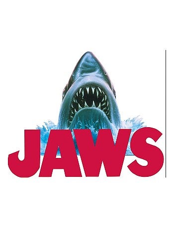 Pack de 6 calcetines niño JAWS