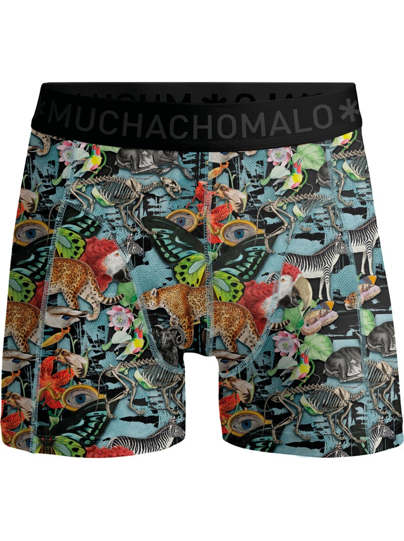 Pack de 7 bóxers Muchachomalo Azul Verde Azul - Kiabi