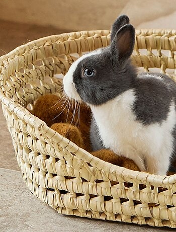 Panera de mimbre para gato