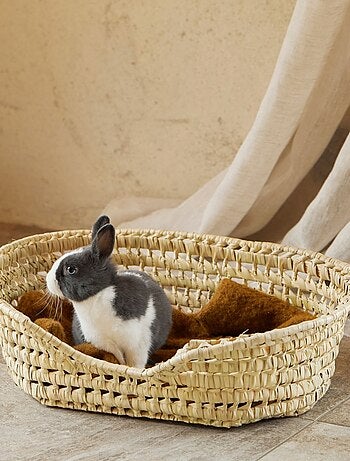 Panera de mimbre para gato
