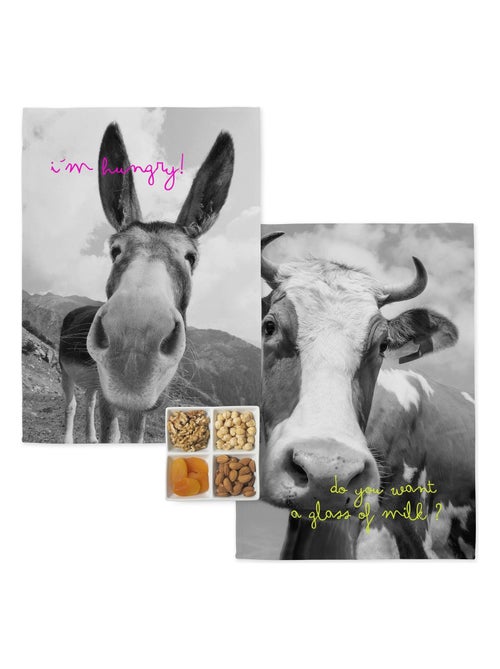Paño de cocina 2 ud Farm "Happyfriday" - Kiabi