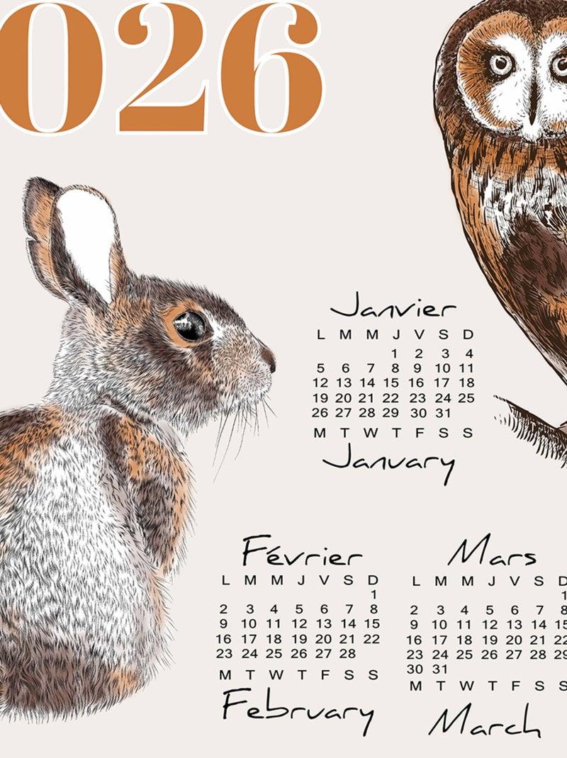 Paño de cocina calendario 2026 con animales del jardín en algodón Marrón claro - Kiabi