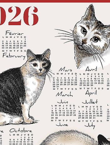 Paño de cocina calendario 2026 con motivo de gatos en algodón