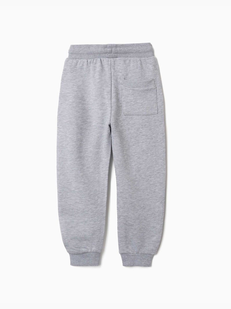 Pantalón de chándal de felpa con cordón y bolsillos Gris claro - Kiabi