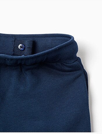 Pantalones joggers cepillados, azul