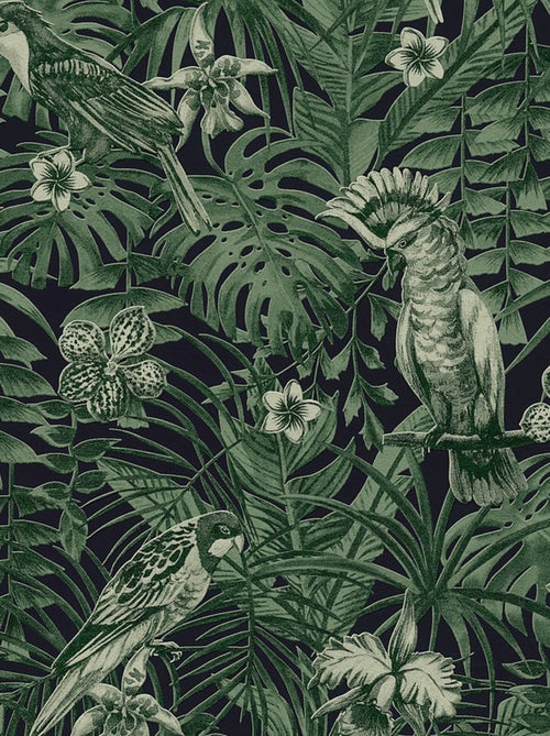 Papel pintado Cacatúa selvática - Kiabi