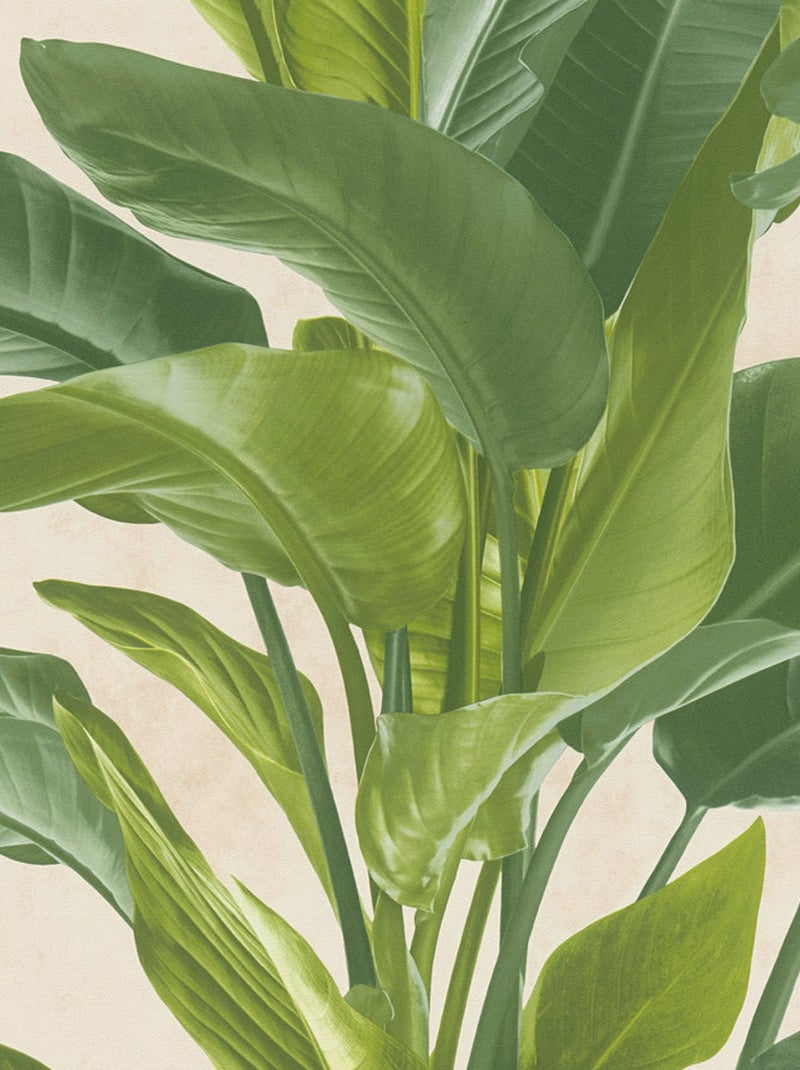 Papel pintado Follaje Verde - Kiabi