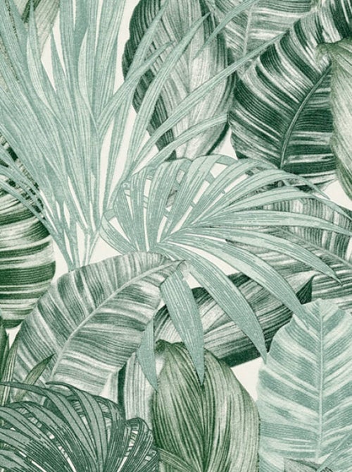 Papel pintado Selva tropical - Kiabi