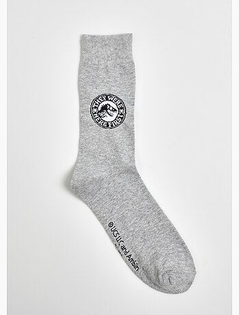 Par de calcetines, Jurassic World - AFIBEL
