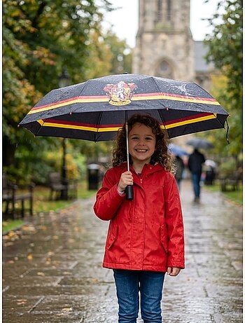 Paraguas gryffindor cambia de color bajo la lluvia harry potter