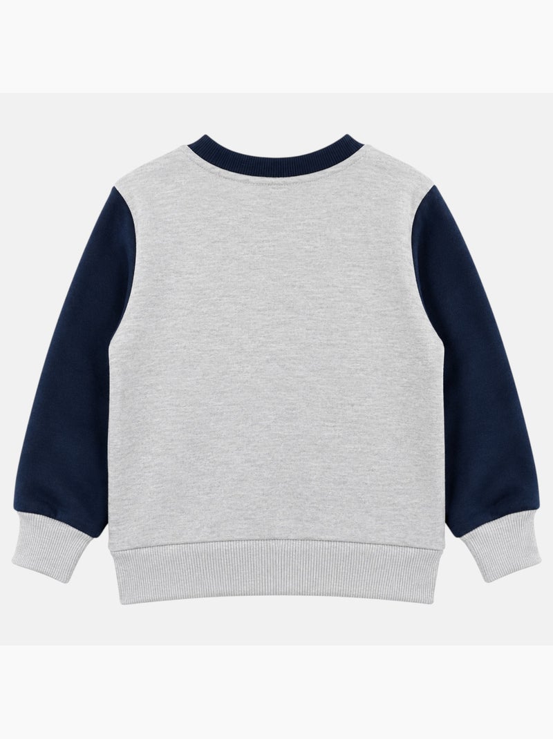 Paw Patrol - Sudadera para niño Gris - Kiabi