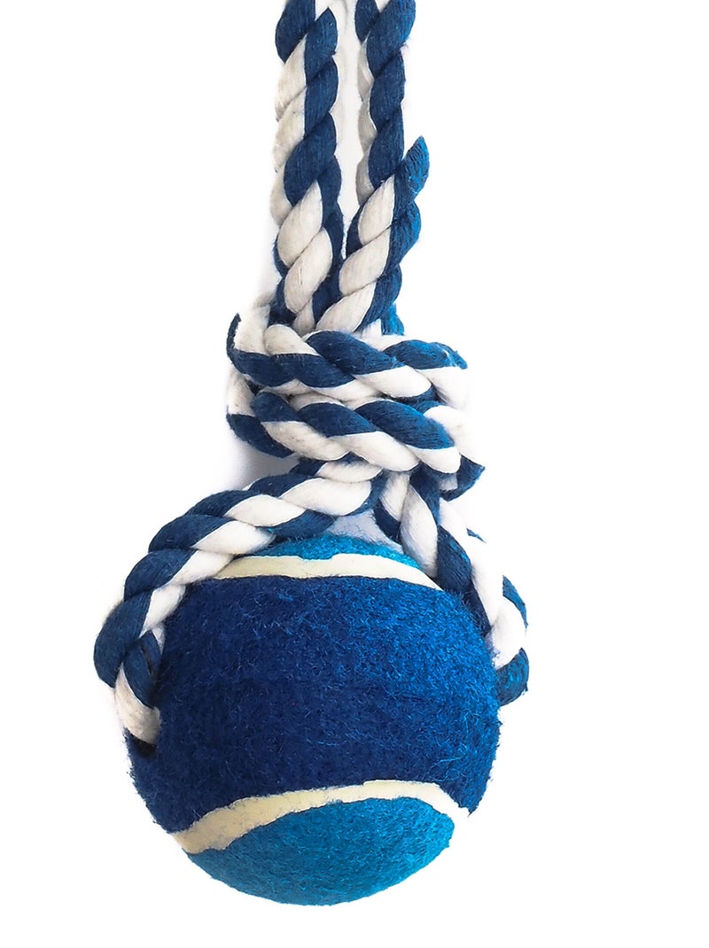 Pelota de tenis de cuerda para perros - AFIBEL Azul - Kiabi