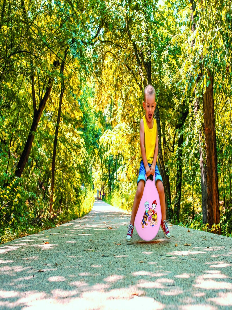 Pelota hinchable Paw Patrol Rosa 18' / 45cm Rosa - Kiabi